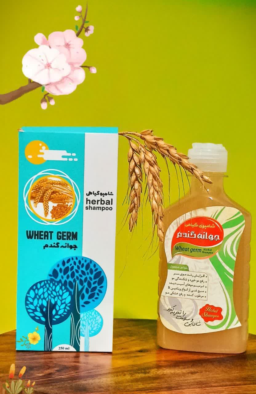 photo_2022-04-06_17-34-02