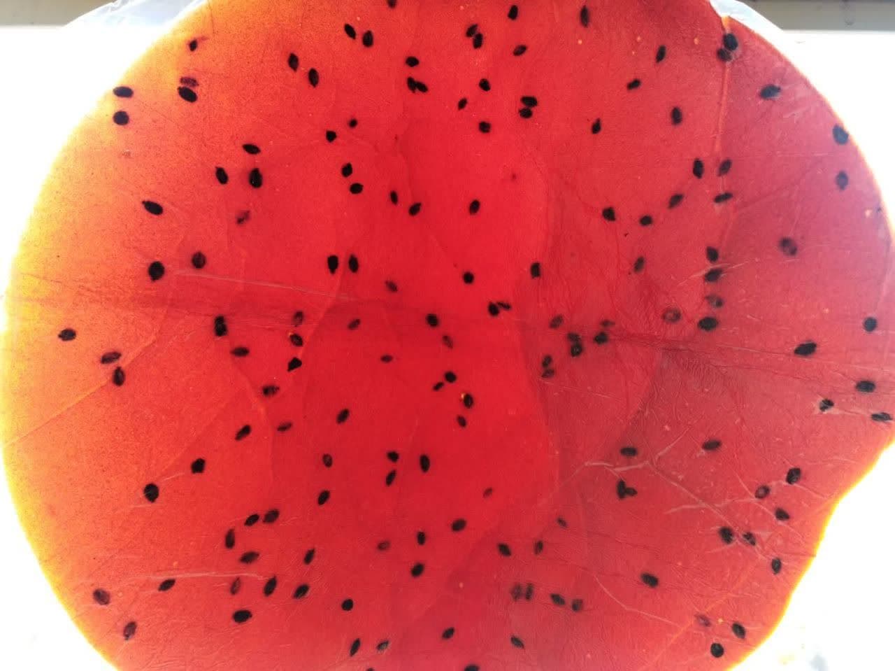 photo_2022-10-29_10-49-37