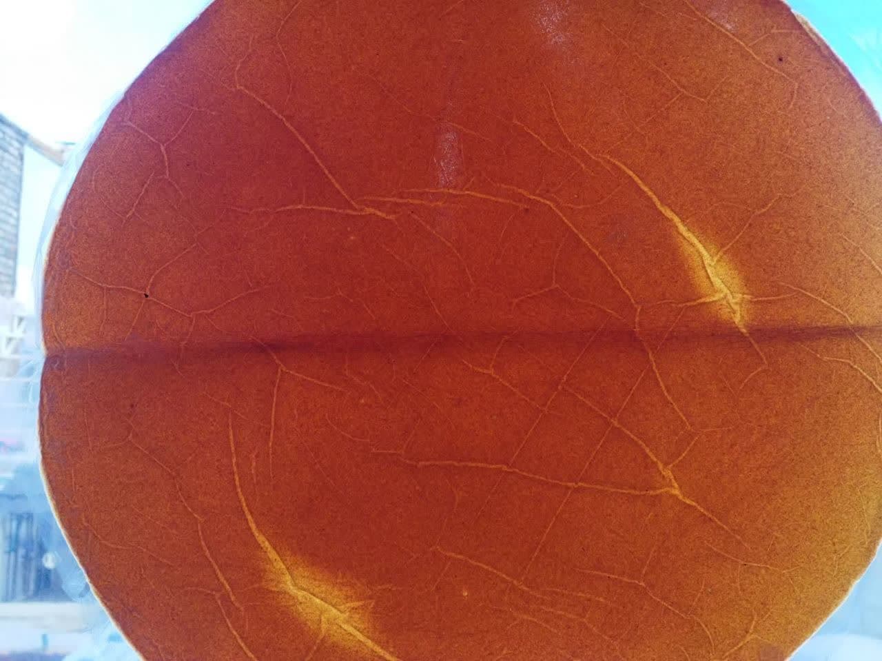 photo_2022-10-29_10-50-00