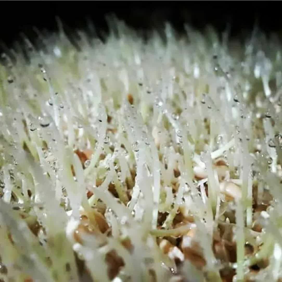 photo_2022-11-08_11-46-07