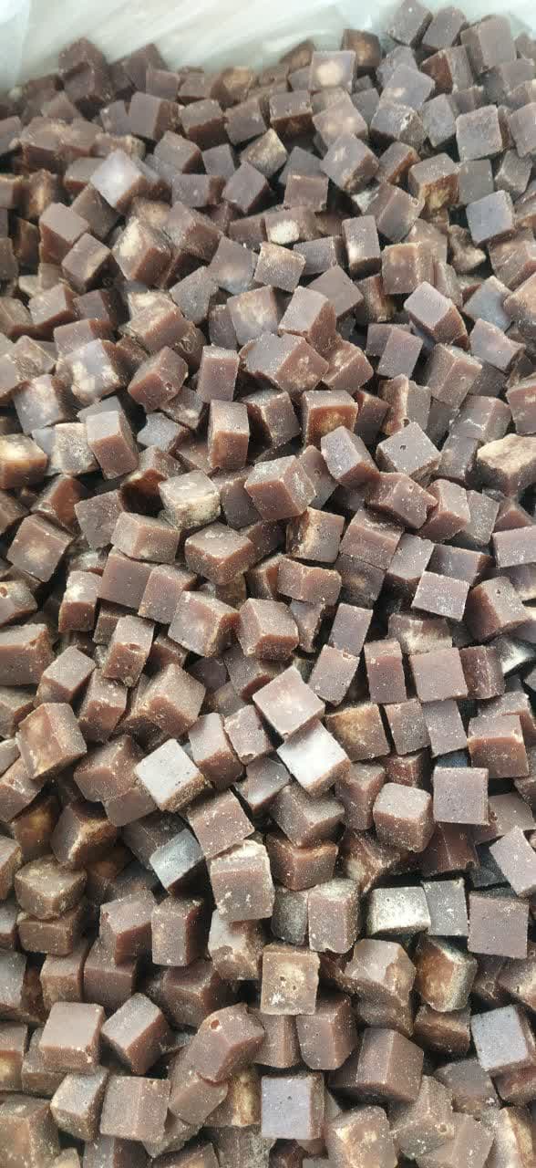 photo_2022-11-15_14-20-04