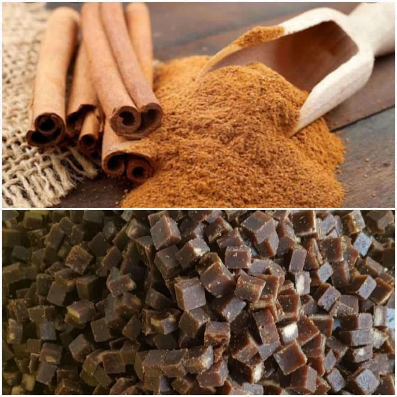 photo_2022-11-15_14-30-11