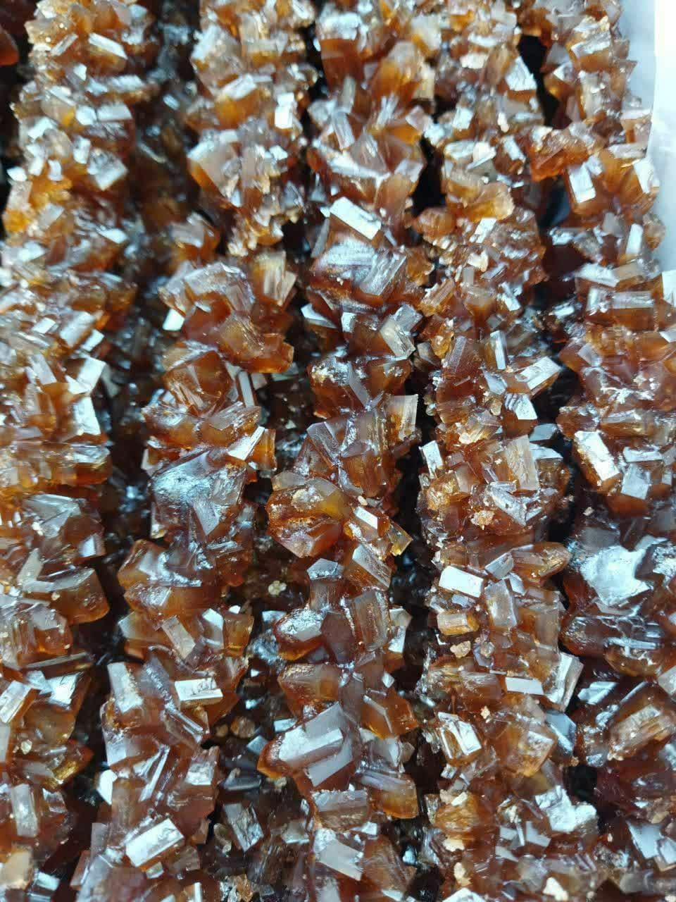 photo_2022-11-17_15-13-44