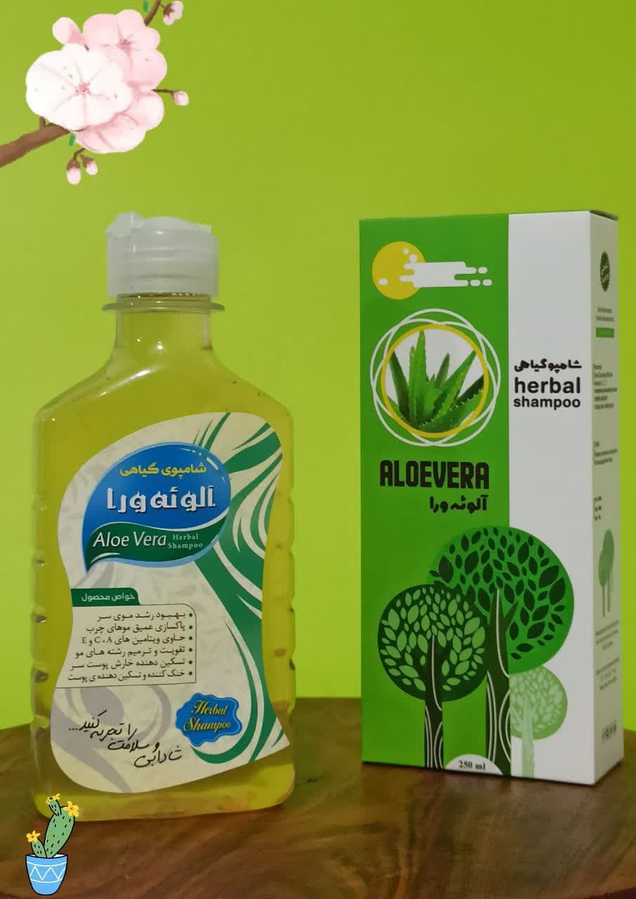 photo_2022-11-18_15-56-41