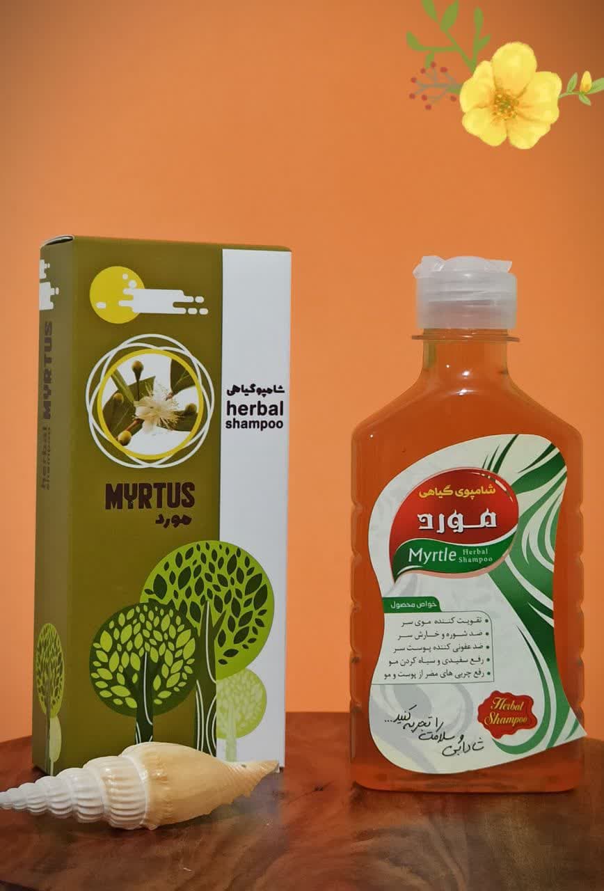 photo_2022-11-18_18-01-35