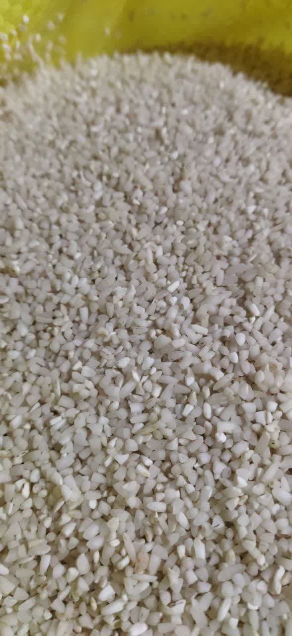 photo_2022-12-06_16-44-26